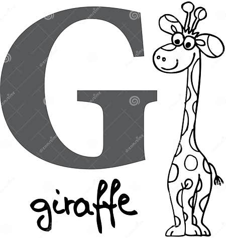 Animal Alphabet G (giraffe) Stock Vector - Illustration of illustrated ...