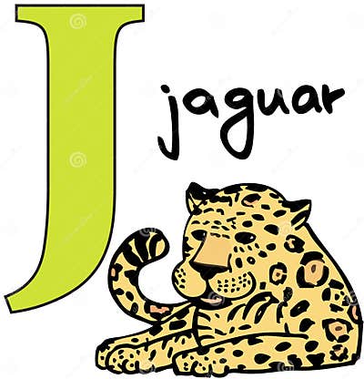 Animal alphabet J (jaguar) stock vector. Illustration of drawn - 7596435