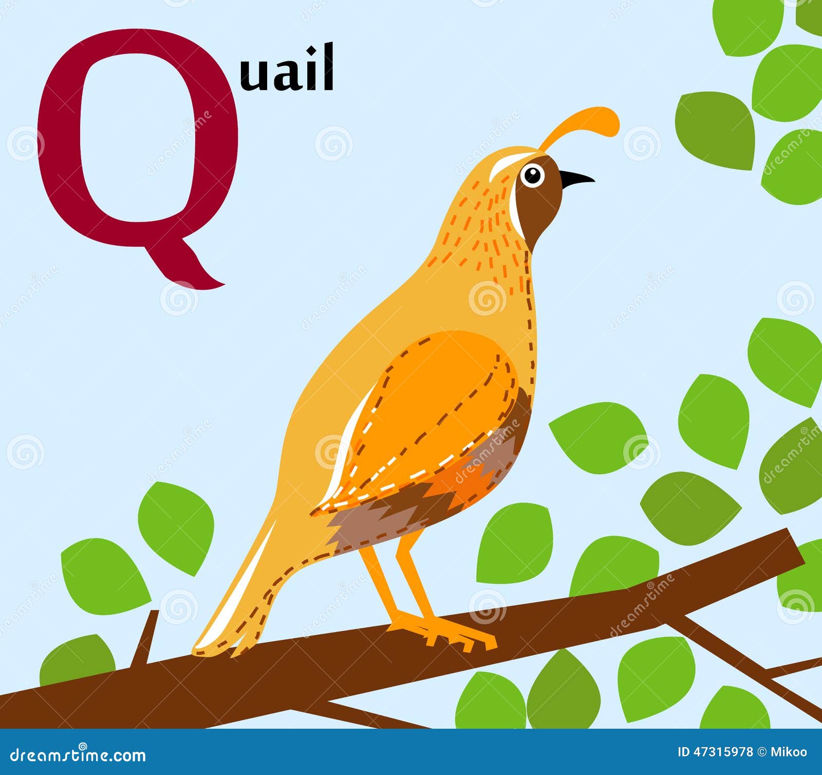 Animal Alphabet for the Kids: Q for the Quail Stock Vector - Illustration of white, wild: 47315978 Animal Alphabet for the Kids: Q for the Quail Stock Vector - Illustration of white, wild: 47315978
