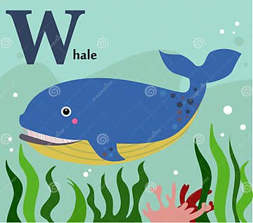 Animal Alphabet for the Kids: W for the Whale Stock Vector ...