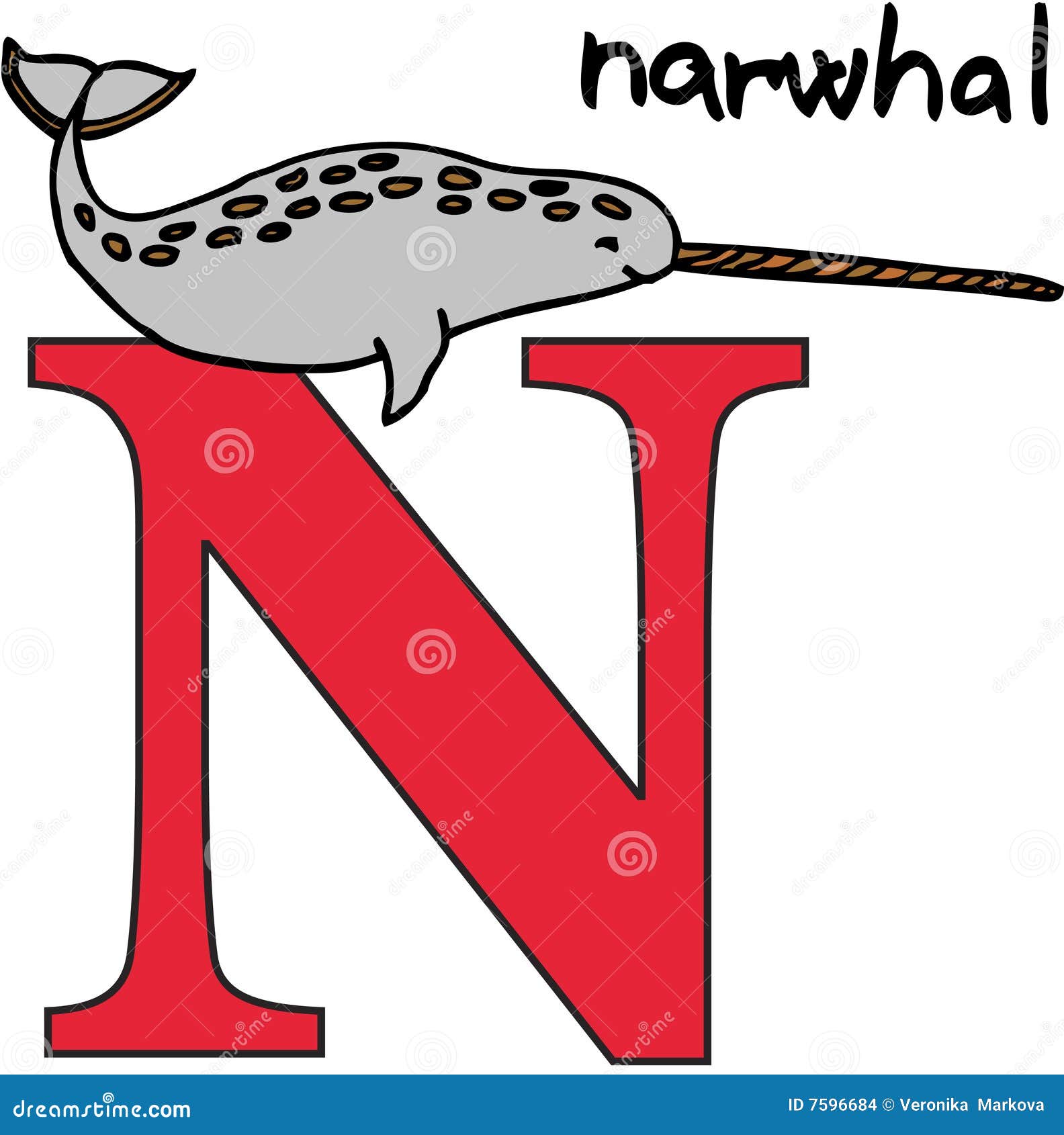 Animal Alphabet N (narwhal) Stock Vector - Illustration of vector,  isolated: 7596684