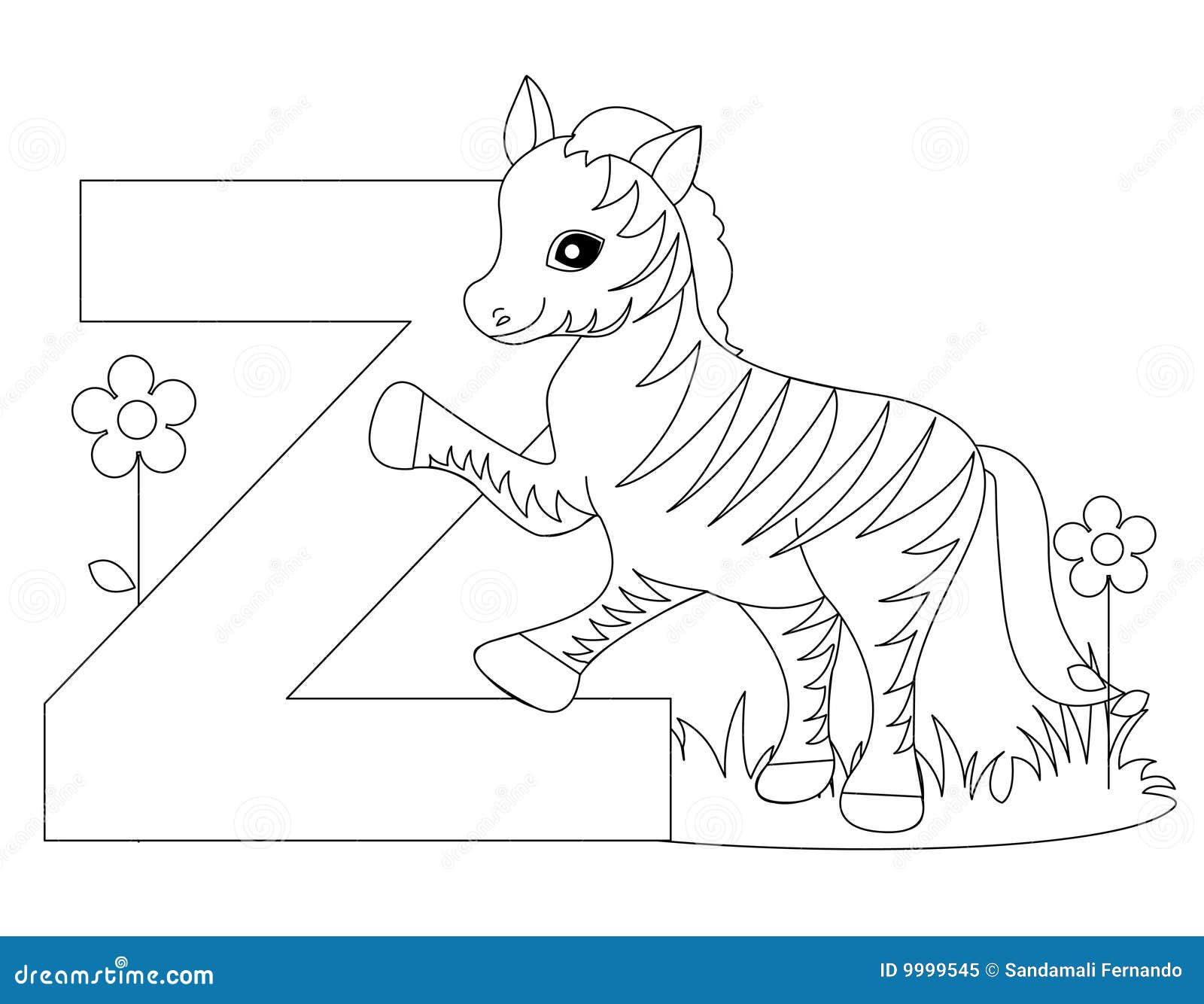 Animal Alphabet Z Coloring Page Royalty Free Stock Photo  