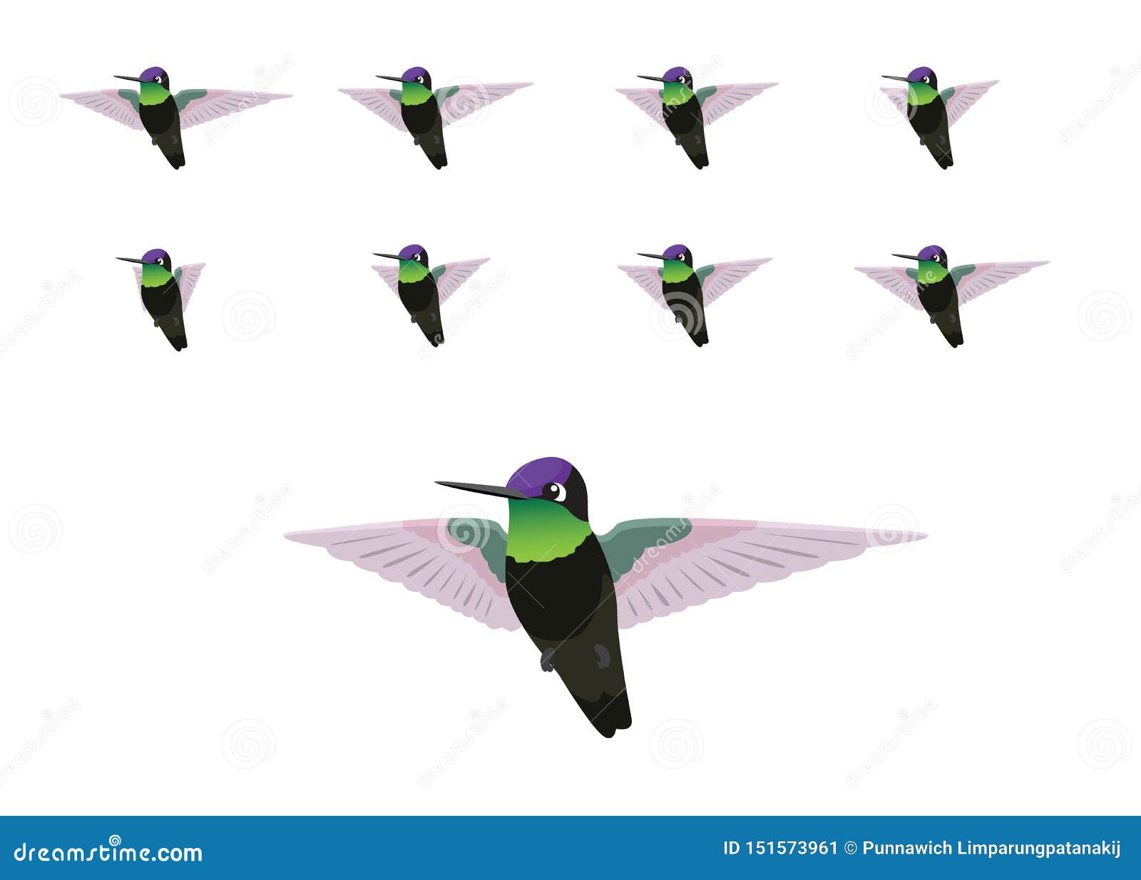 Cute Hummingbird Flying Frame Animation Vector Stock Vector - Illustration of magnificent, animate: 151573961 Cute Hummingbird Flying Frame Animation Vector Stock Vector - Illustration of magnificent, animate: 151573961