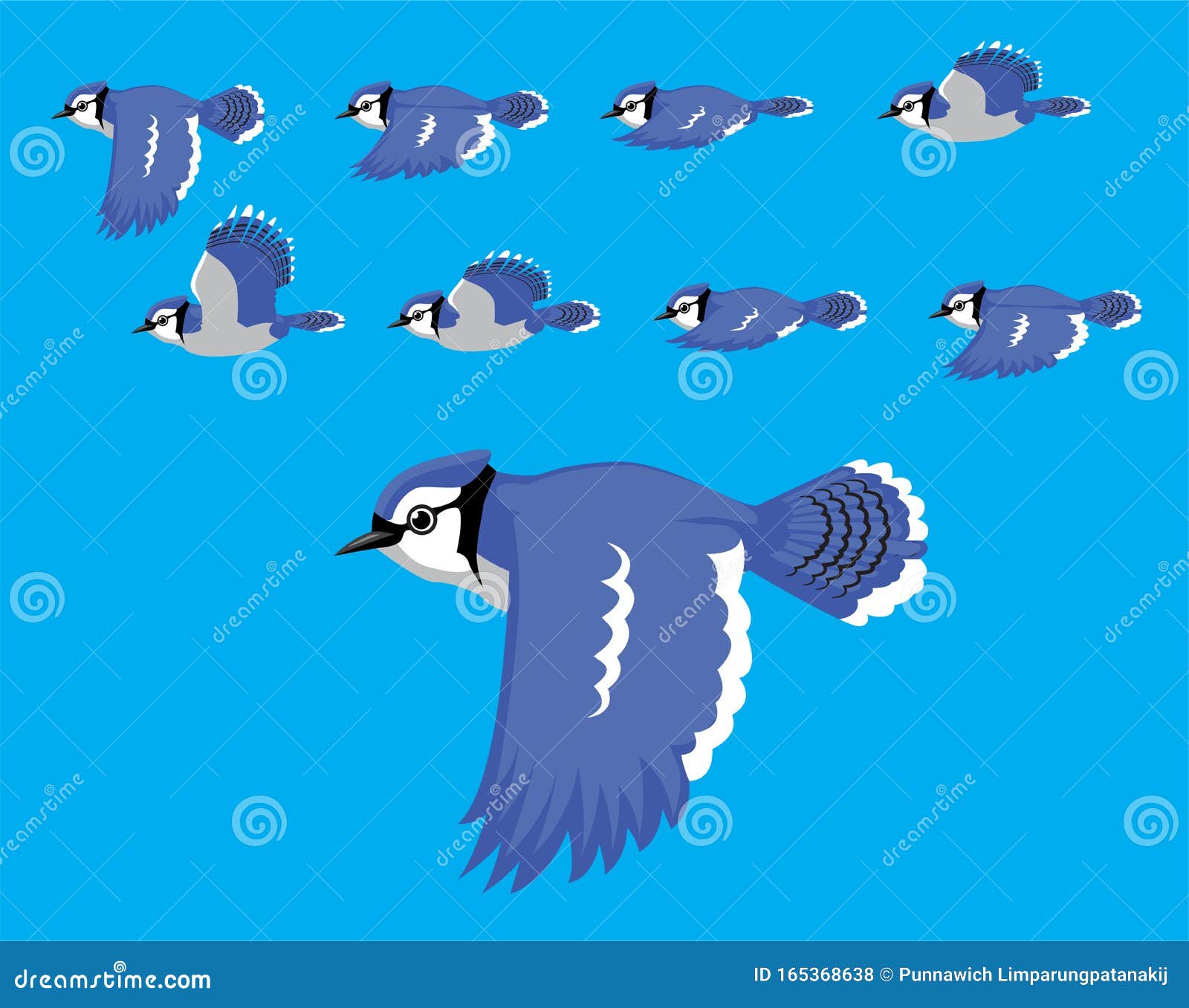 Bird Flying Frame Animation Stock Illustrations – 186 Bird Flying Frame  Animation Stock Illustrations, Vectors & Clipart - Dreamstime