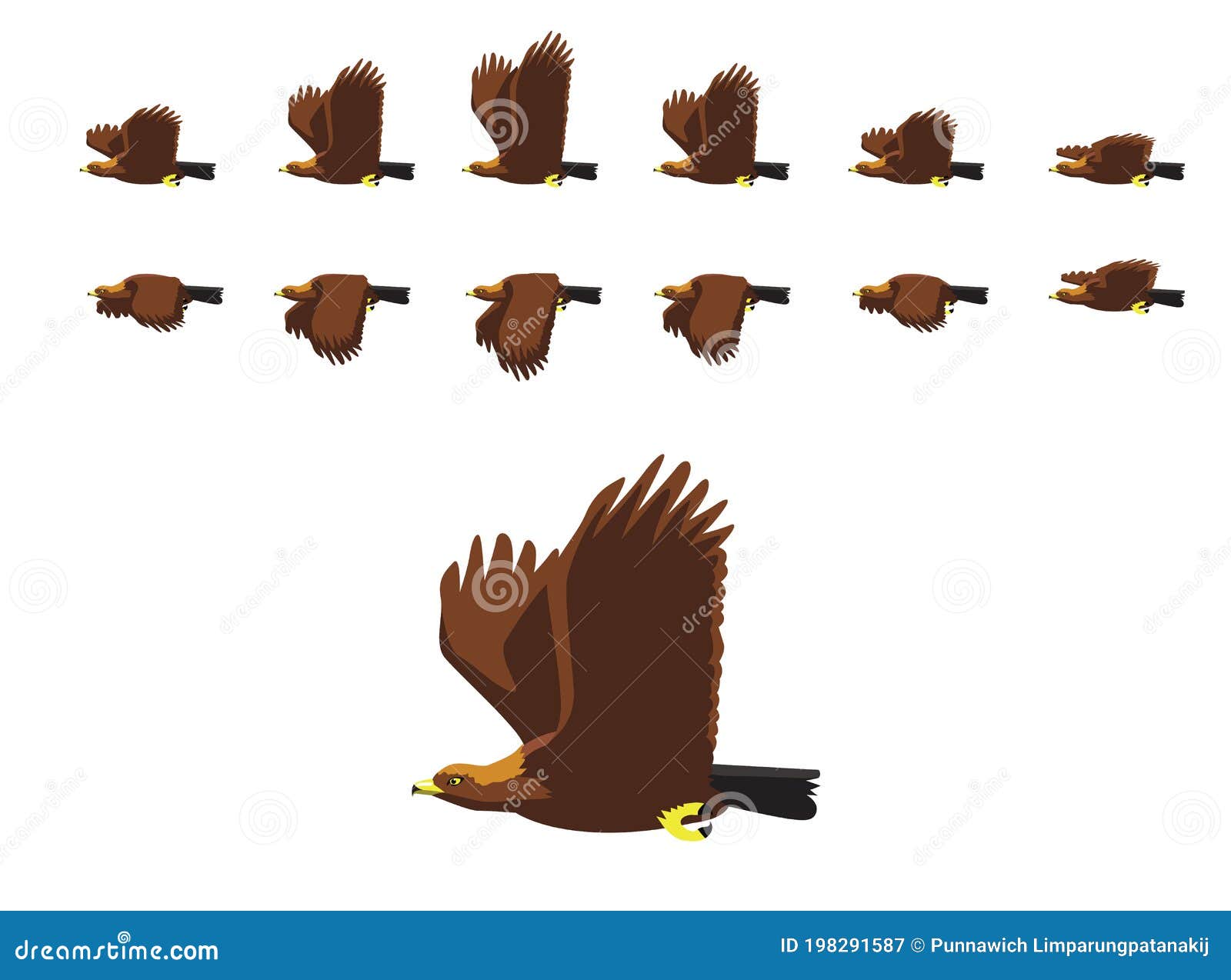 Eagle Flying Animation Stock Illustrations – 26 Eagle Flying Animation  Stock Illustrations, Vectors & Clipart - Dreamstime