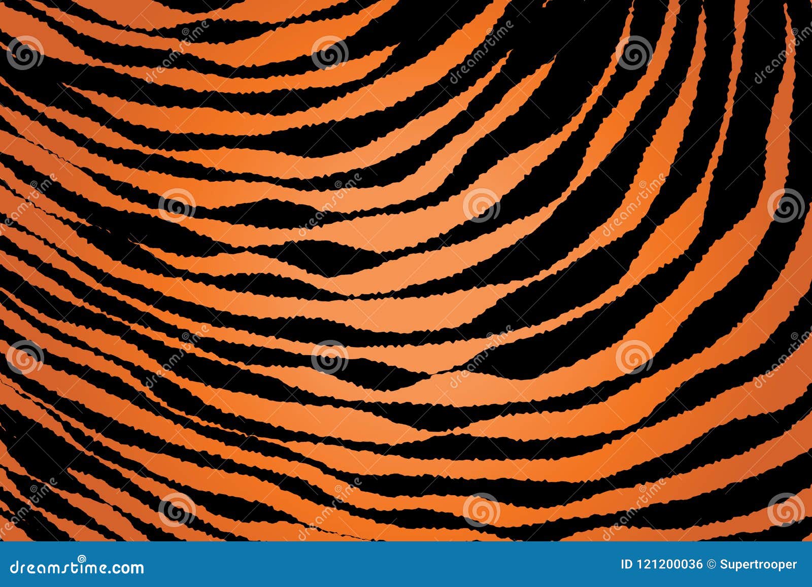 close up stripe animal pattern