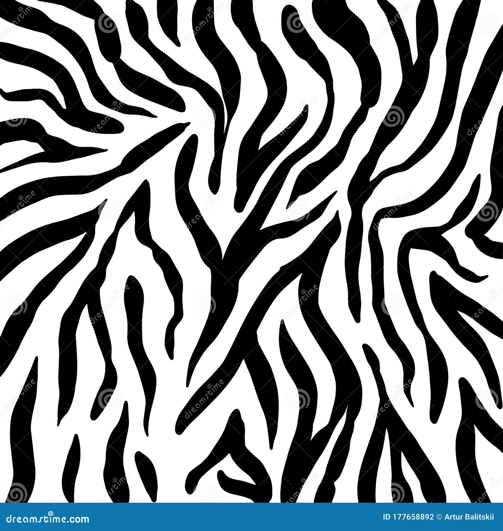 Animal Background. Zebra Texture. Mammals Fur. Print Skin. Predator ...