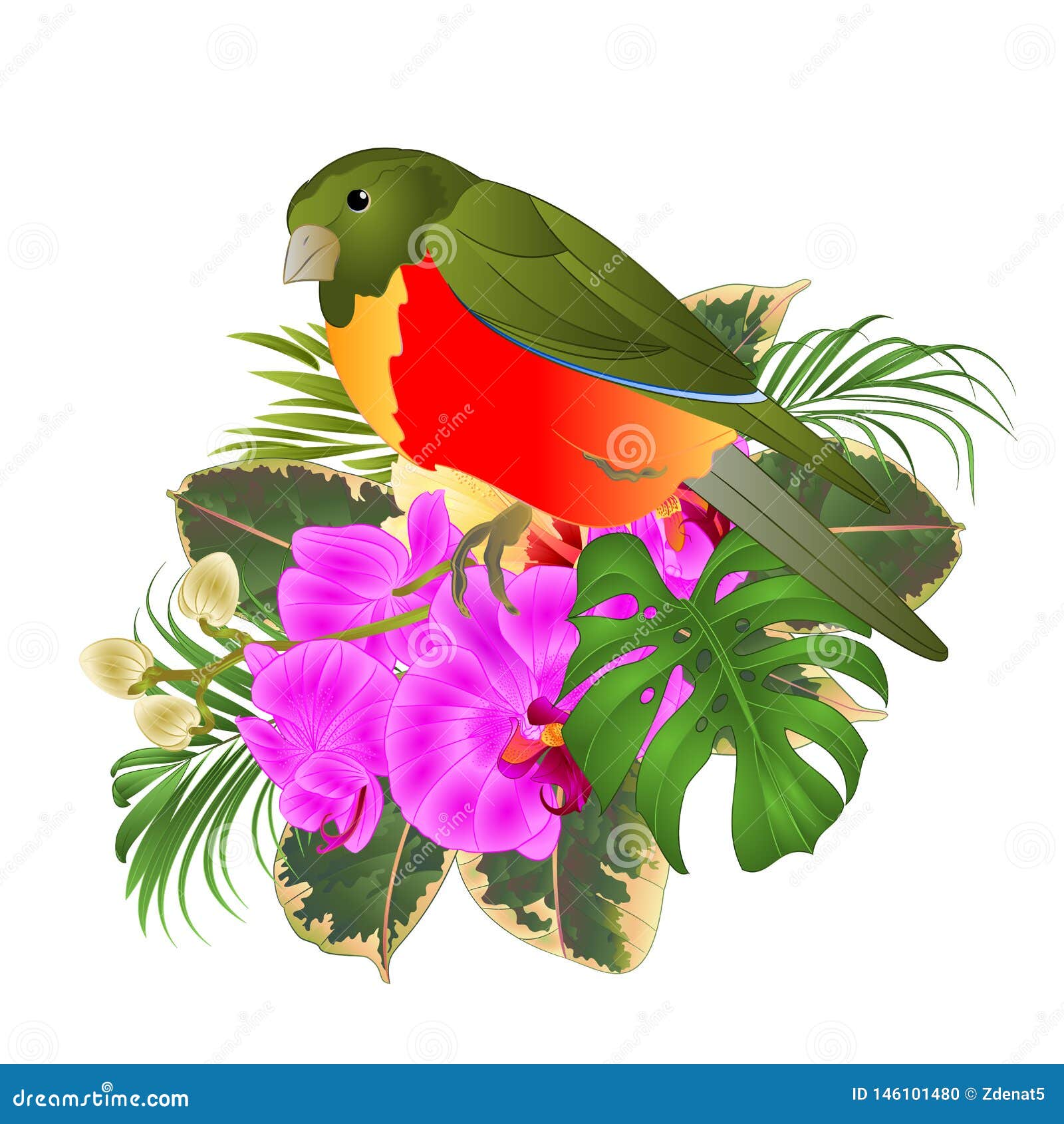 Download Tropical Bird With Tropical Flowers Floral Arrangement ...