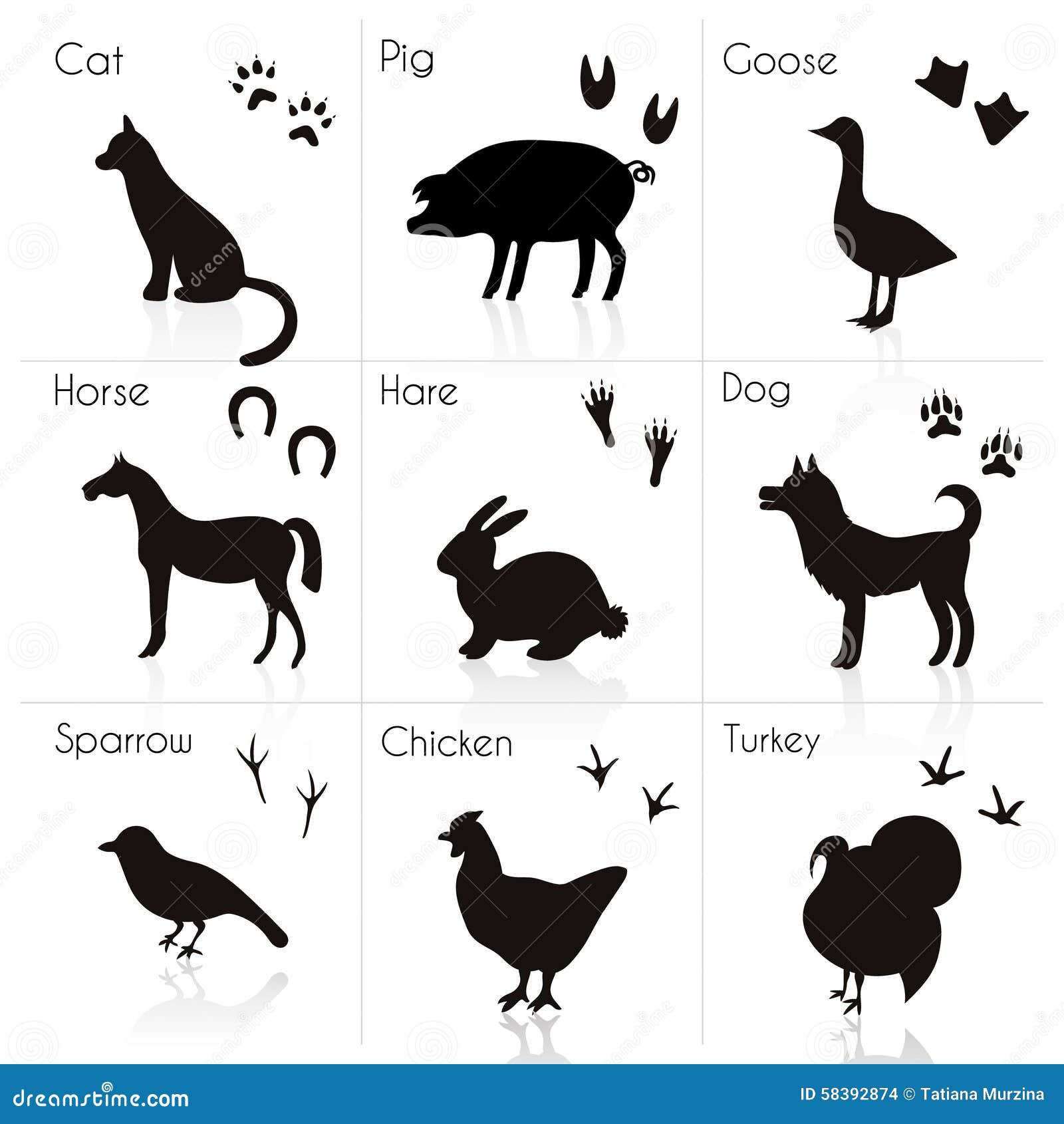 Animal and Bird Trails and Silhouettes with Name. Vector Set Stock Illustration - Illustration of horse, sign: 58392874 Animal and Bird Trails and Silhouettes with Name. Vector Set Stock Illustration - Illustration of horse, sign: 58392874