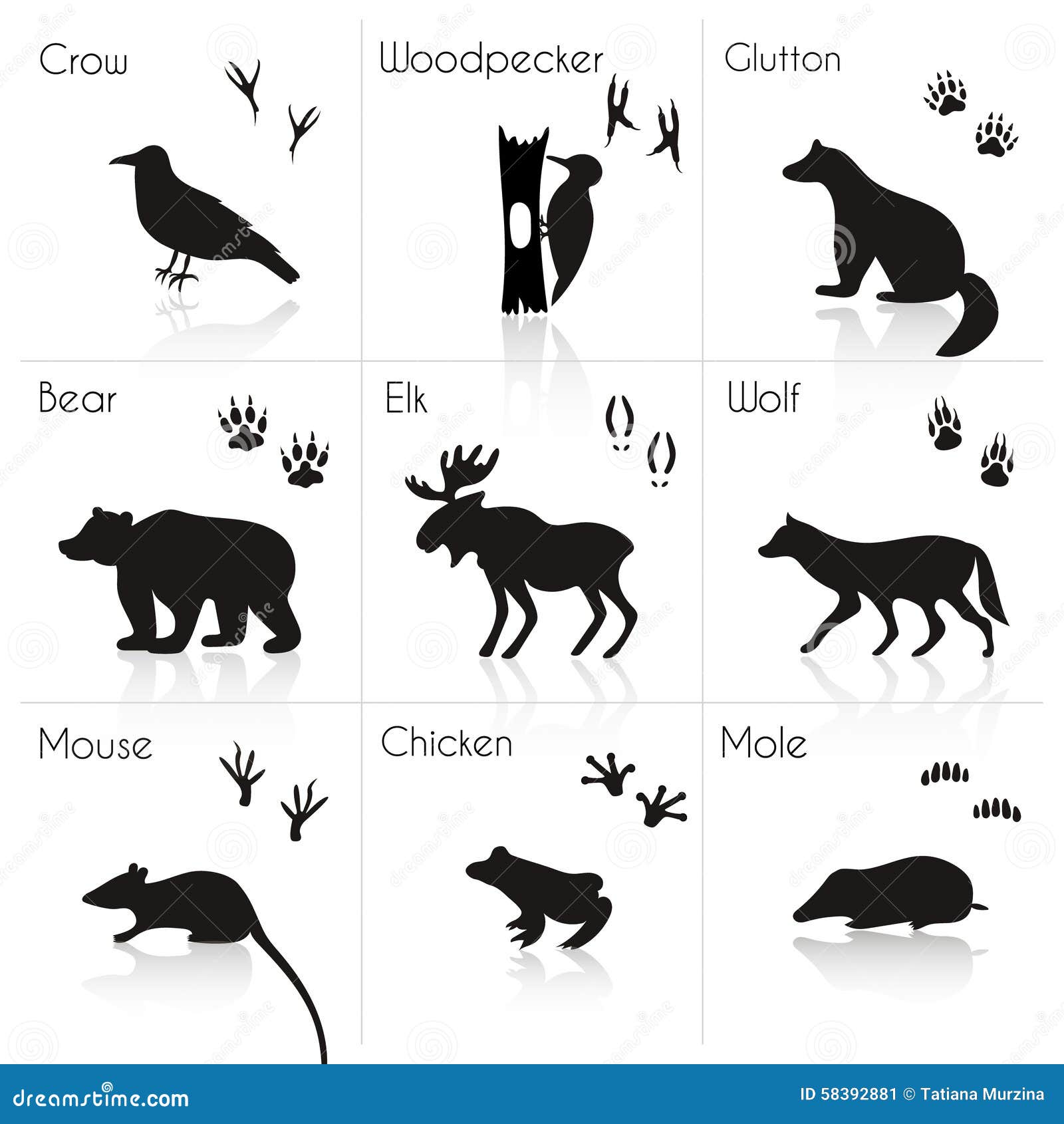Animal and Bird Trails and Silhouettes with Name. Vector Set Stock Illustration - Illustration of icon, outline: 58392881 Animal and Bird Trails and Silhouettes with Name. Vector Set Stock Illustration - Illustration of icon, outline: 58392881