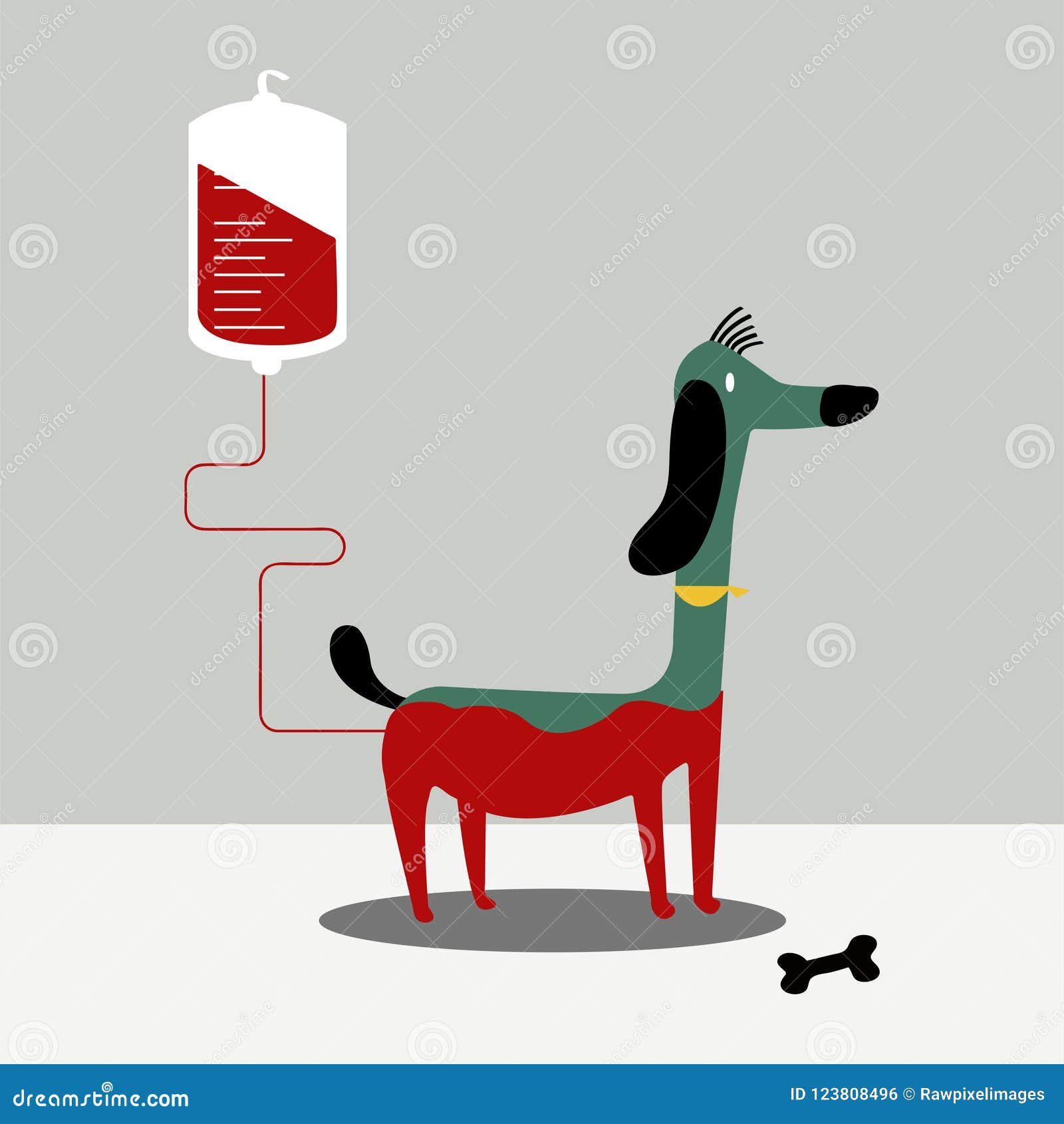 Animal Blood Donation Vector Illustration Stock Vector - Illustration of  animal, illustrated: 123808496