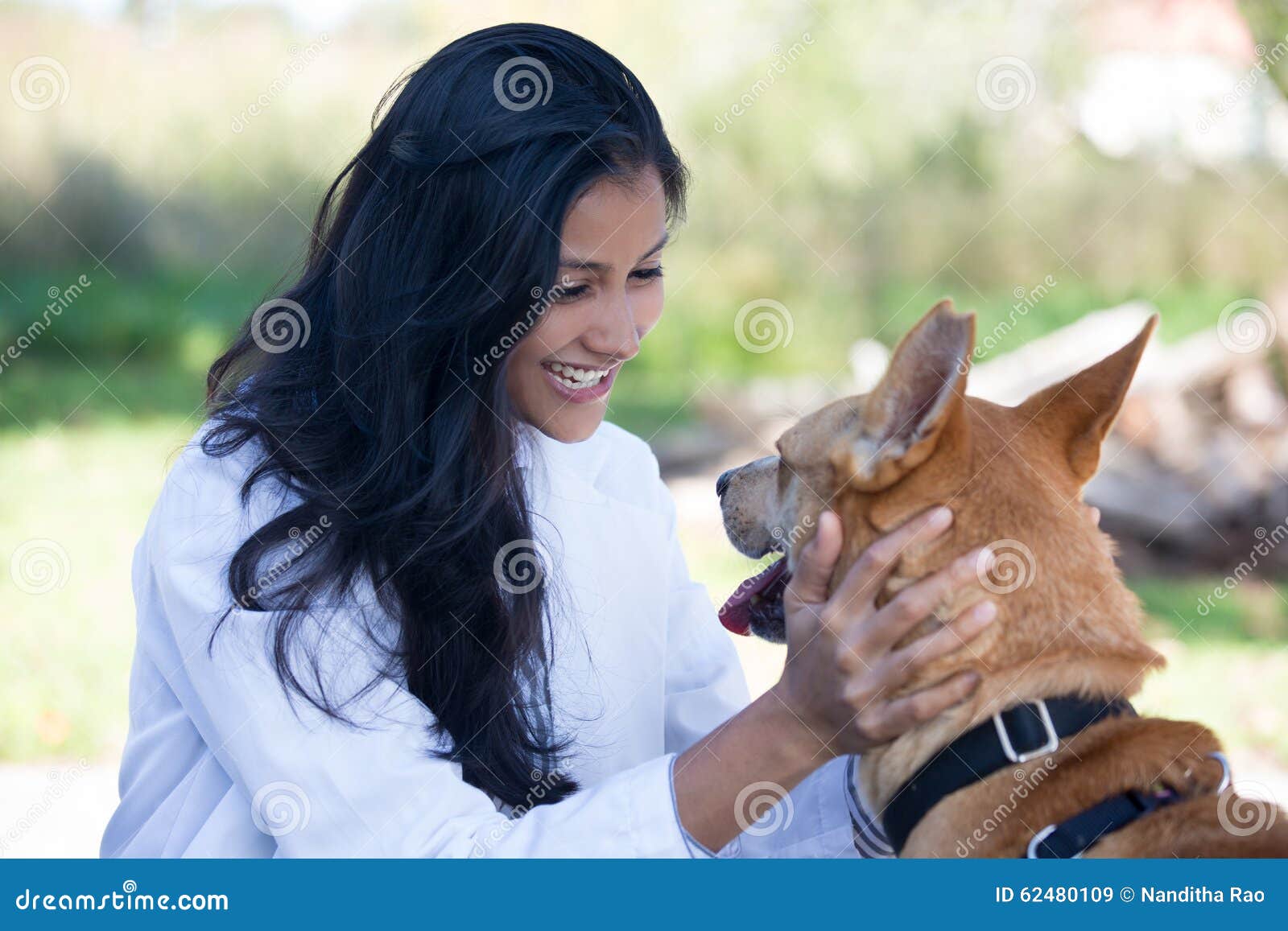 Animal care stock image. Image of exam, happy, lady, companion - 62480109 Animal care stock image. Image of exam, happy, lady, companion - 62480109