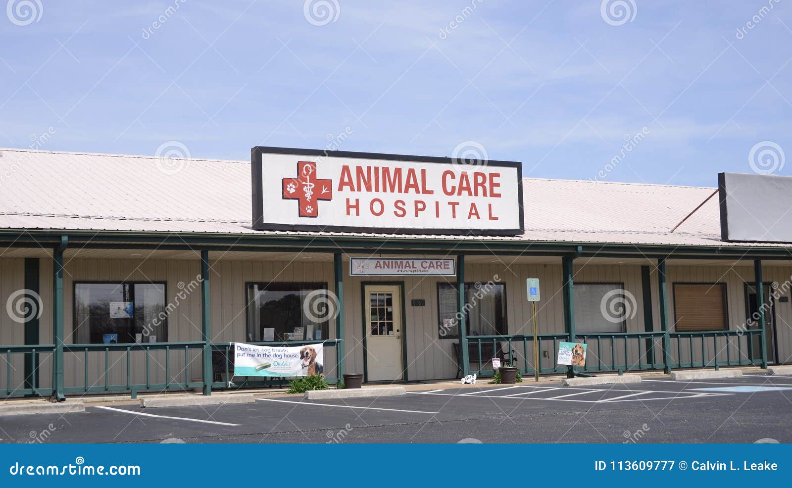 animal care hospital provides best veterinary hospital care your cat dog other pet animal care hospital oakland tn 113609777