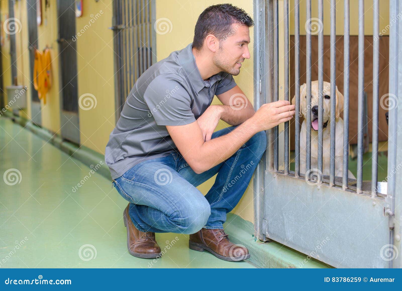 Animal carer and dog stock image. Image of breeding, caregiver 83786259