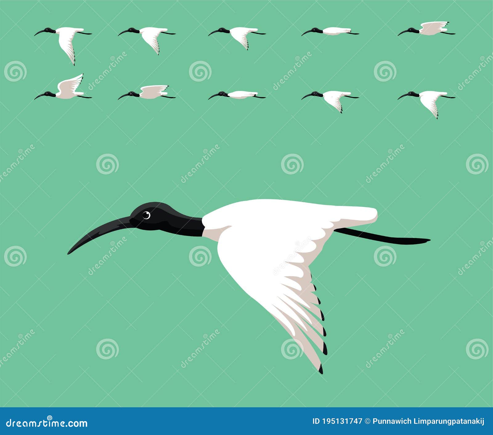 Making ekspertise utilstrækkelig Animation Bird Australian White Ibis Flying Cute Cartoon Vector  Illustration Stock Vector - Illustration of motion, bird: 195131747