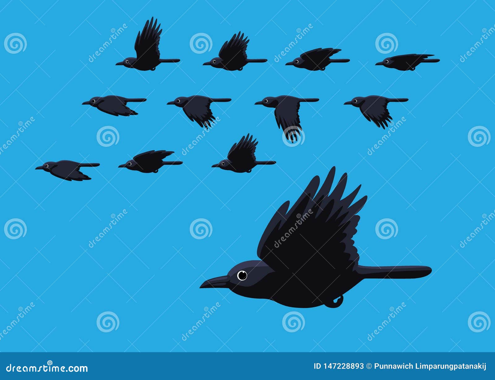 Crow Flying Motion Animation Sequence Cartoon Vector Illustration Stock Vector - Illustration of wildlife, raven: 147228893 Crow Flying Motion Animation Sequence Cartoon Vector Illustration Stock Vector - Illustration of wildlife, raven: 147228893