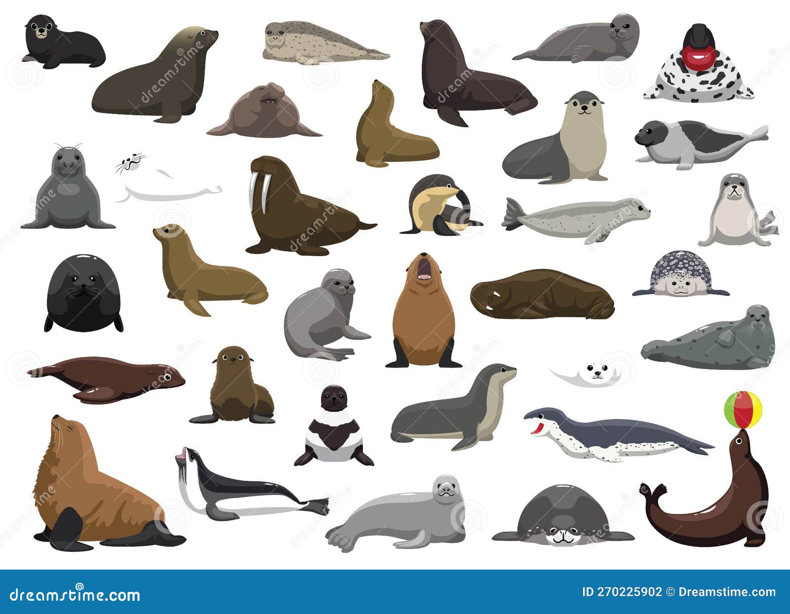 Cartoon Animal Sea Leopard Stock Illustrations – 265 Cartoon Animal Sea  Leopard Stock Illustrations, Vectors & Clipart - Dreamstime