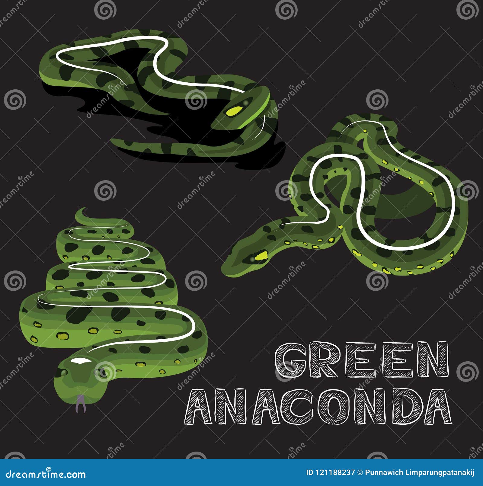 Snake Green Anaconda Cartoon Vector Illustration Stock Vector -  Illustration of snake, character: 121188237