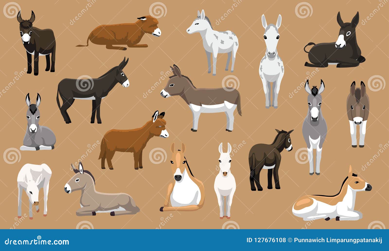 Various Donkey Breeds Cartoon Vector Characters