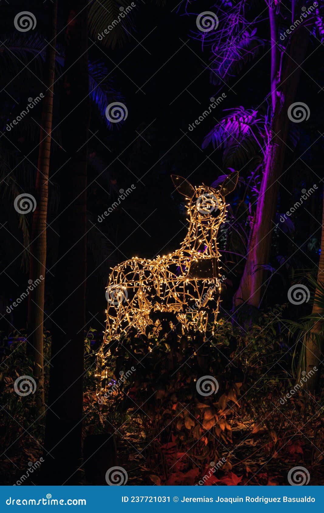 Animal Christmas Lights among Plants at Night Stock Image Image of