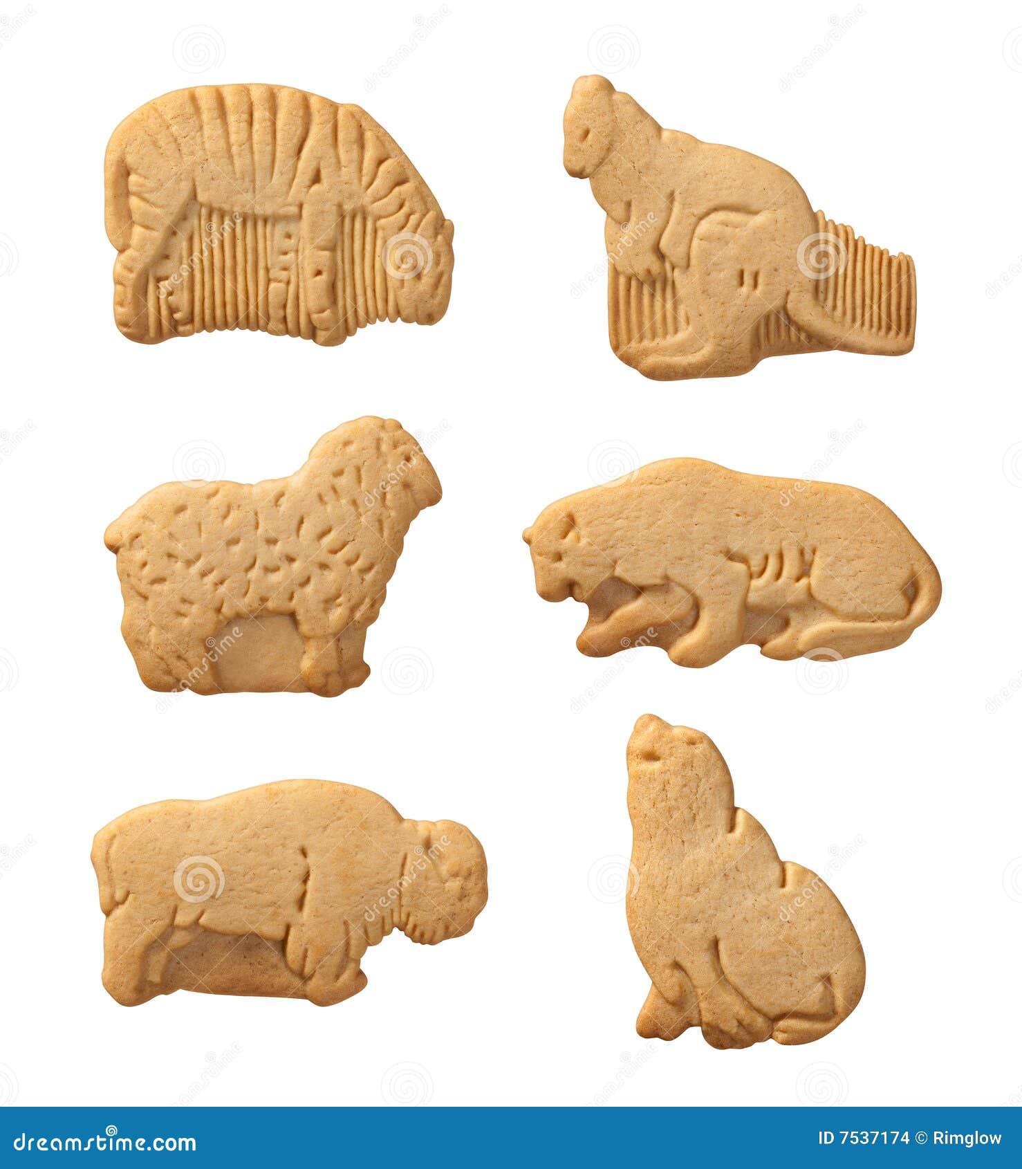 Animal Crackers (with Clipping Path) Stock Photo - Image of background,  animal: 7537174