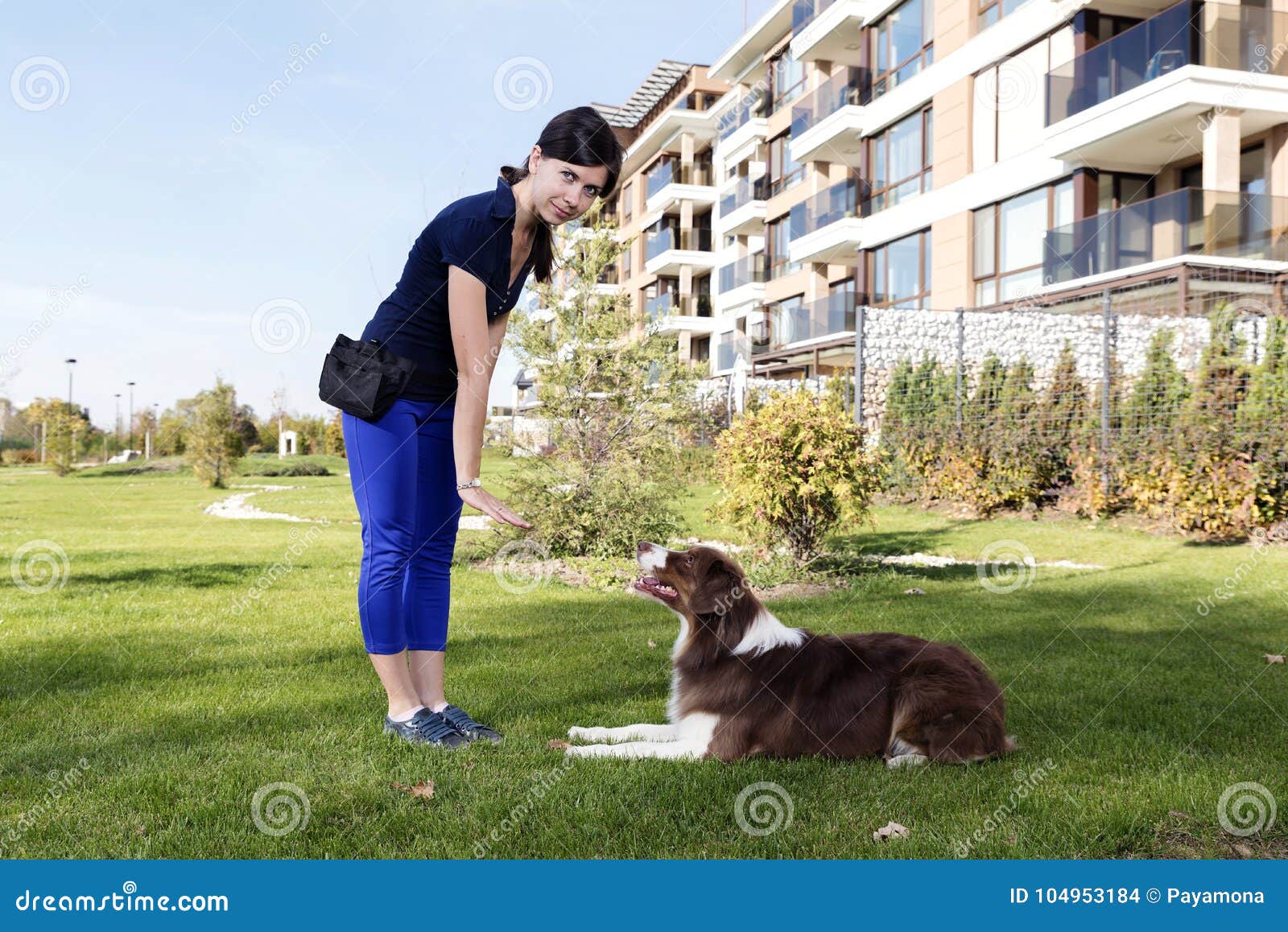 Parc à Chiots.Dog Training - Les Animaux de Compagnie