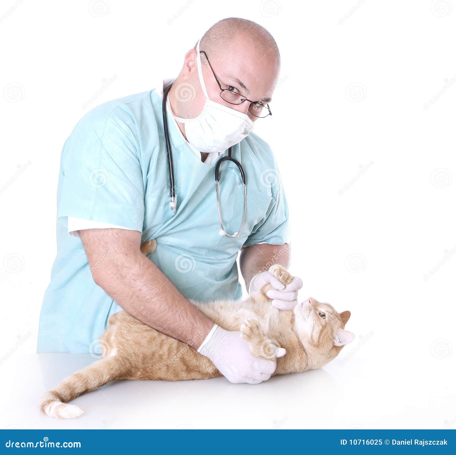 Animal doctor stock image. Image of medical, smile, green - 10716025