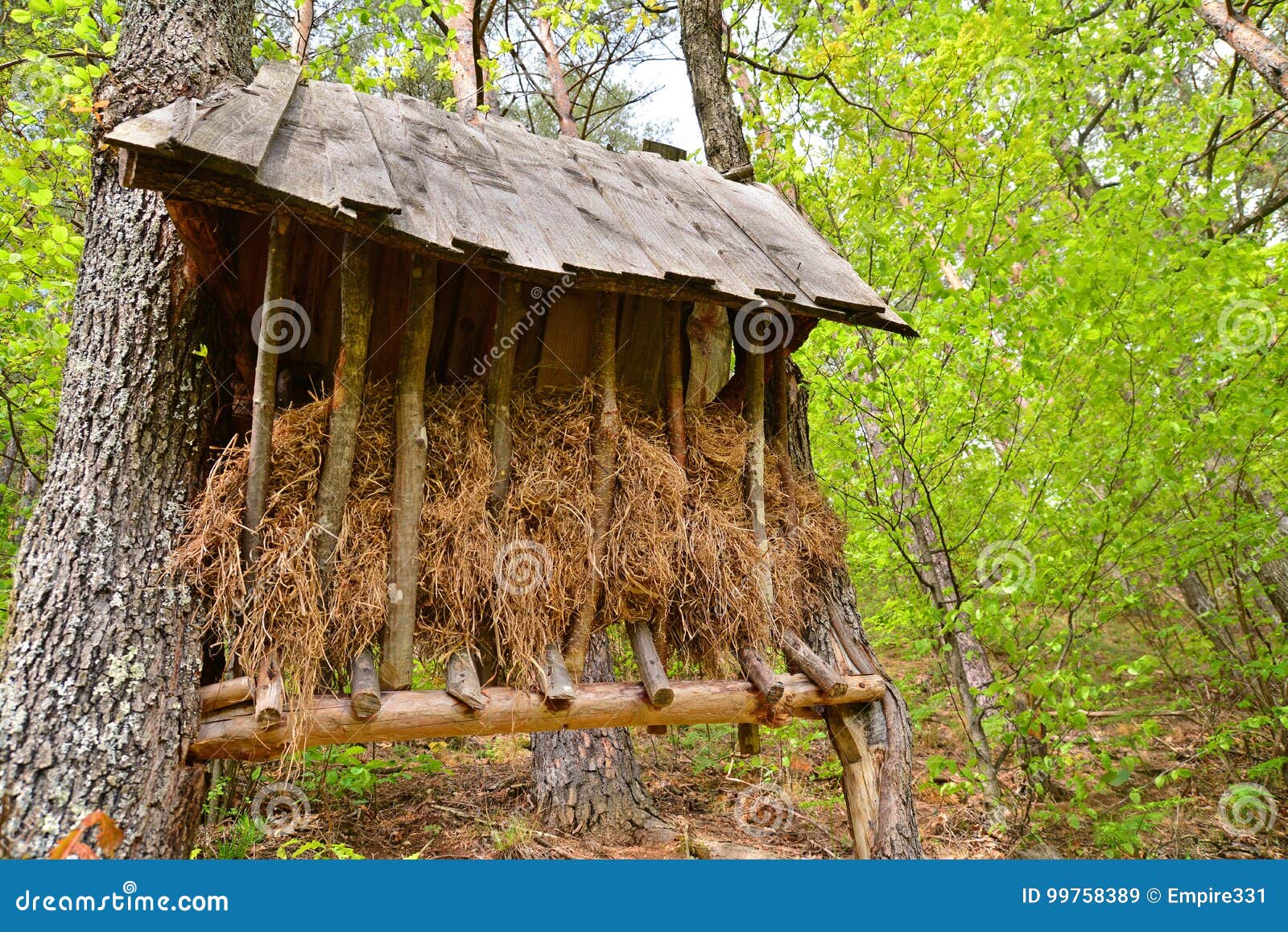 Animal feeder stock image. Image of feeder, manger, feeding 99758389