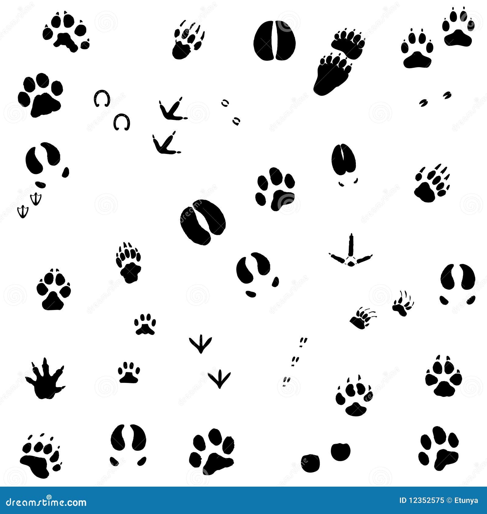 mouse footprint clipart - photo #50