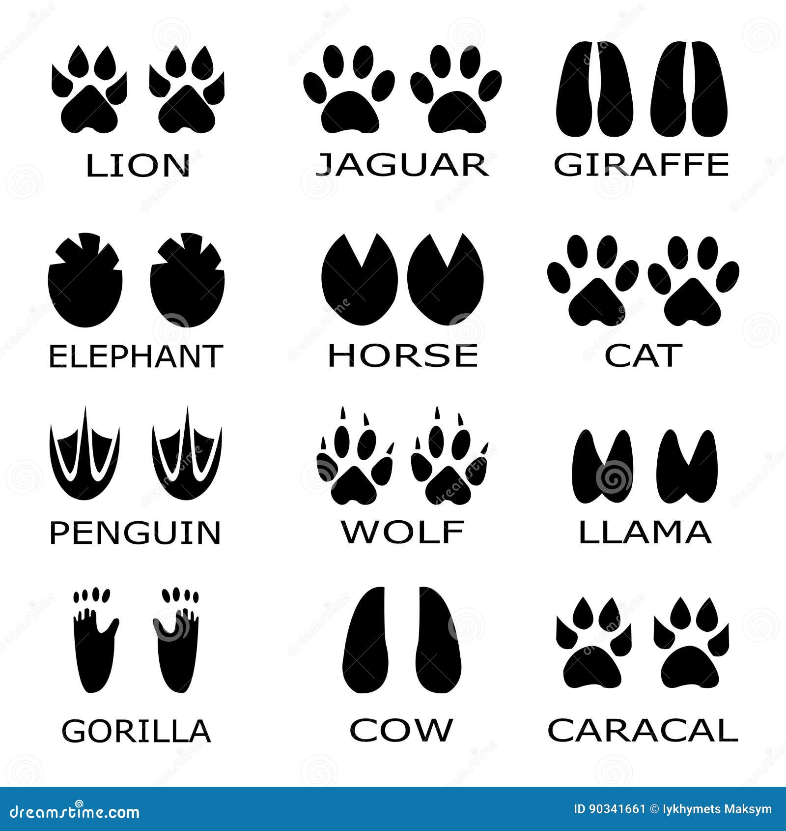 Download Animal Footprints Vector. Set Foot Prints Animals Stock Illustration - Illustration of ...