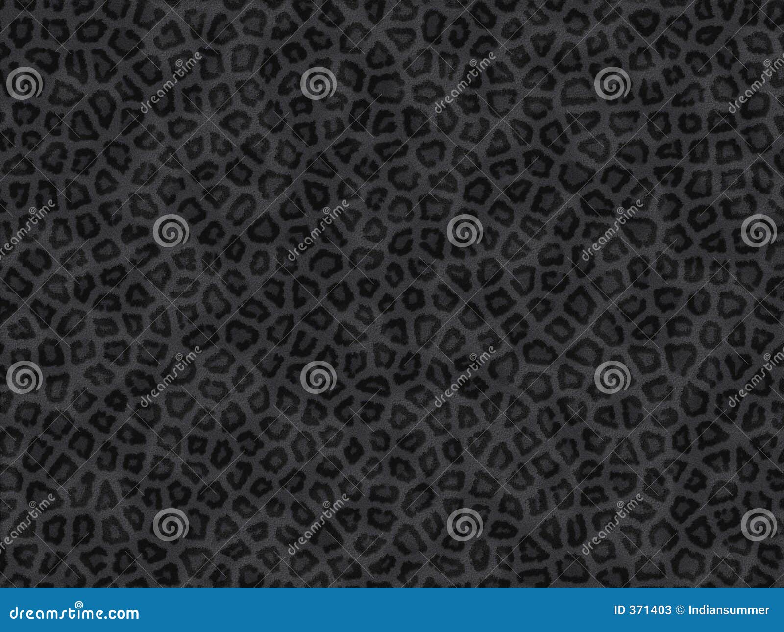 animal fur texture- panther