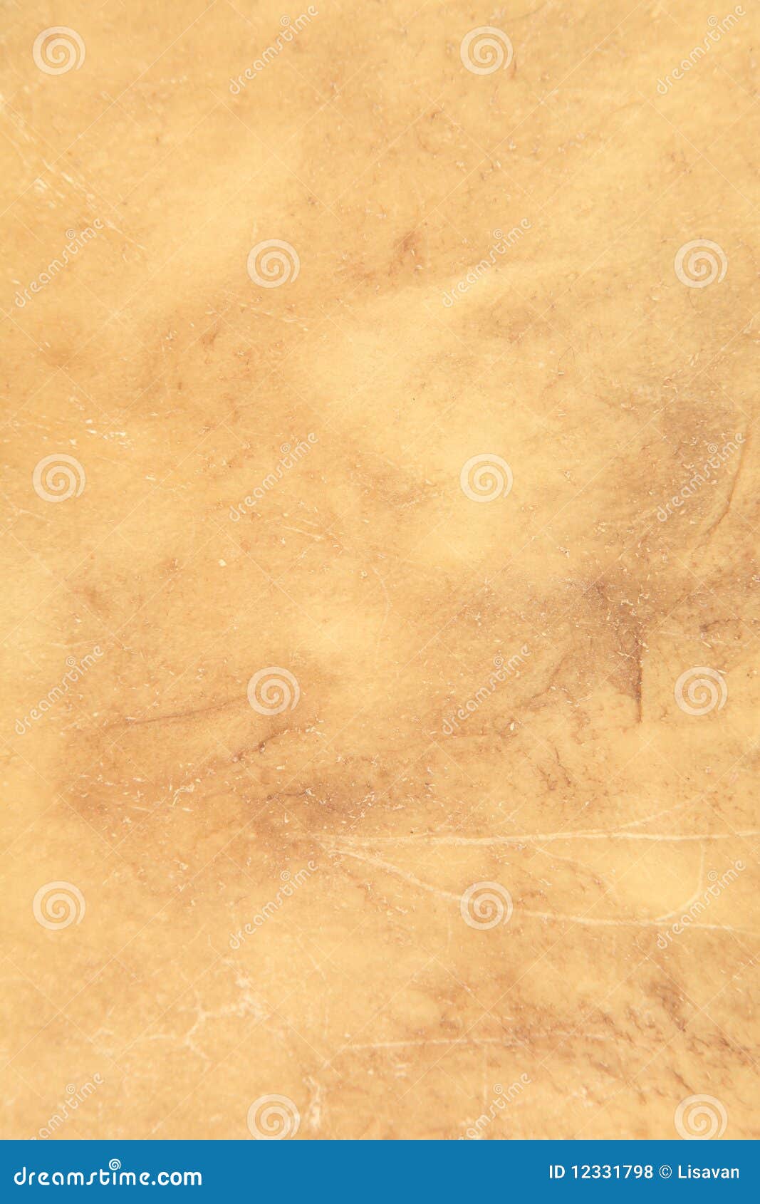 10,175 Animal Hide Texture Stock Photos - Free & Royalty-Free Stock Photos  from Dreamstime