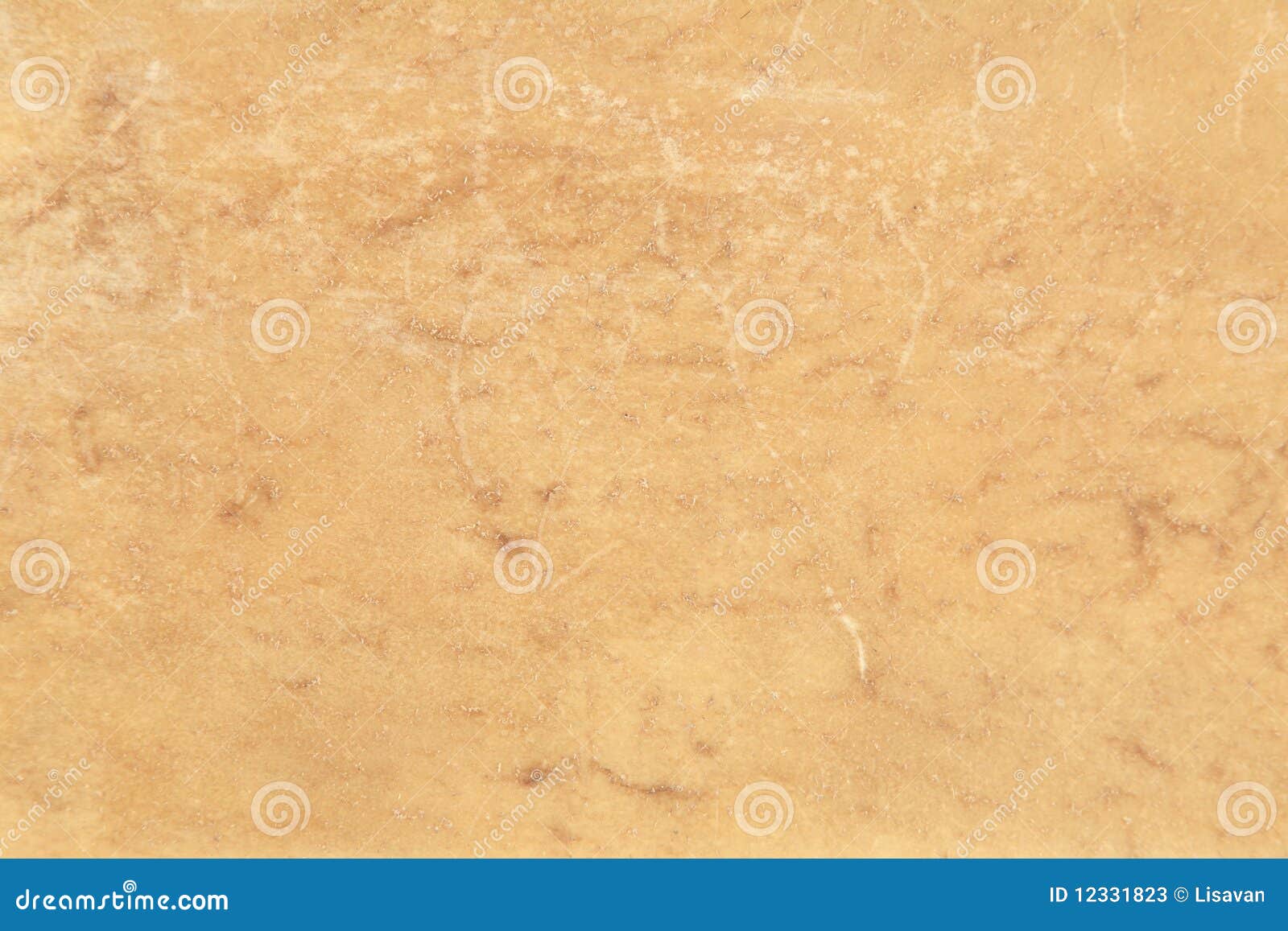 Animal hide stock image. Image of skin, brown, hide, texture - 12331823 Animal hide stock image. Image of skin, brown, hide, texture - 12331823