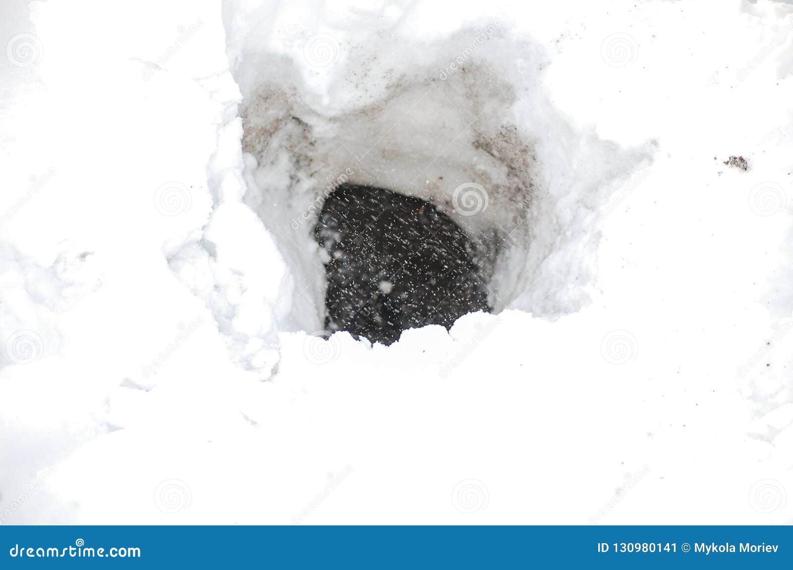 Animal Home. Fox Hole on Winter Field Stock Image - Image of claws, entry:  130980141