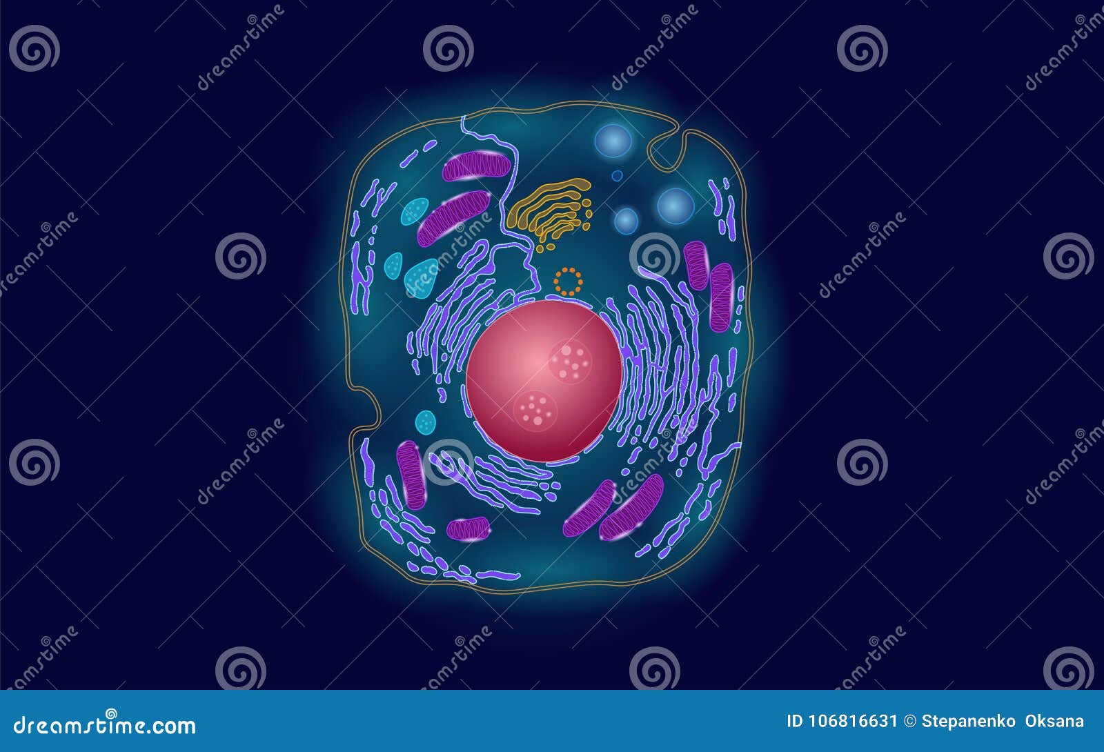 animal human cell structure educational science. microscope 3d eukaryotic nucleus organelle medicine technology analysis