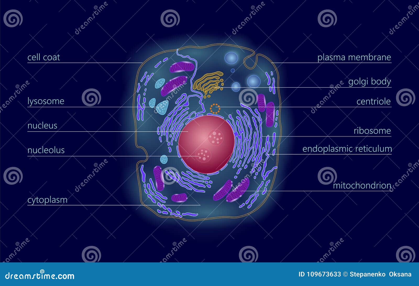 animal human cell structure educational science. microscope 3d eukaryotic nucleus organelle medicine technology analysis