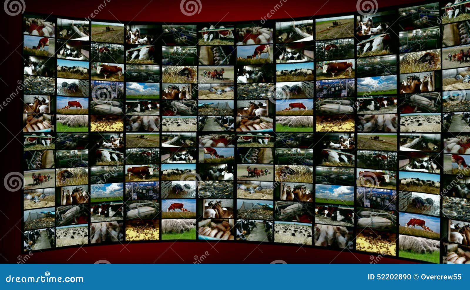 Animal Husbandry- Split Screen Stock Footage - Video of examining, editing:  52202890