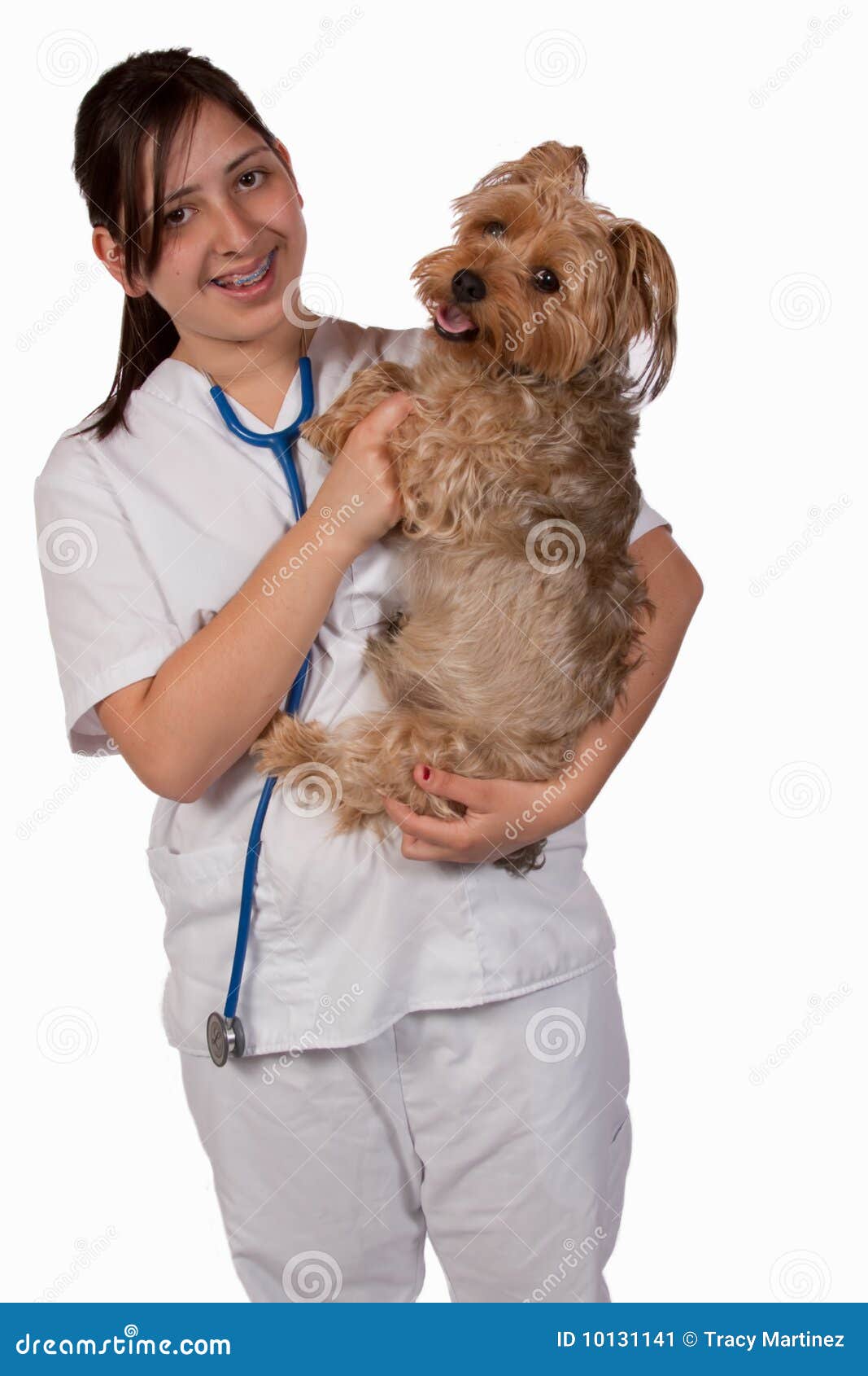 Animal Lover stock image. Image of profession, girl, animal - 10131141