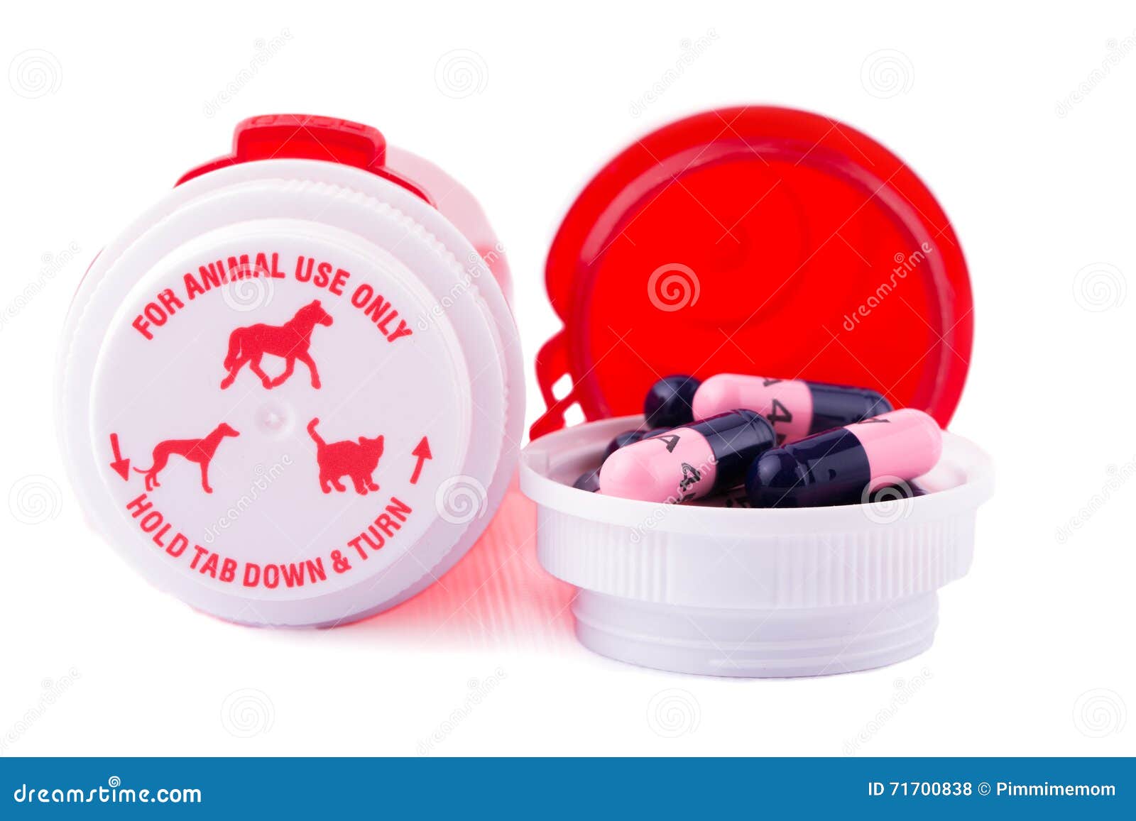 Animal Medication with Bottles Stock Photo Image of icons, background