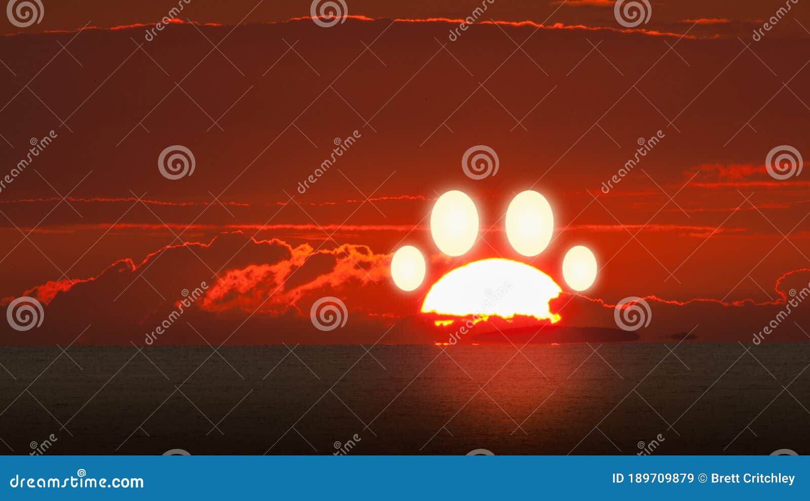 rainbow bridge animal pet dog cat paw footprint made from setting sunset sun