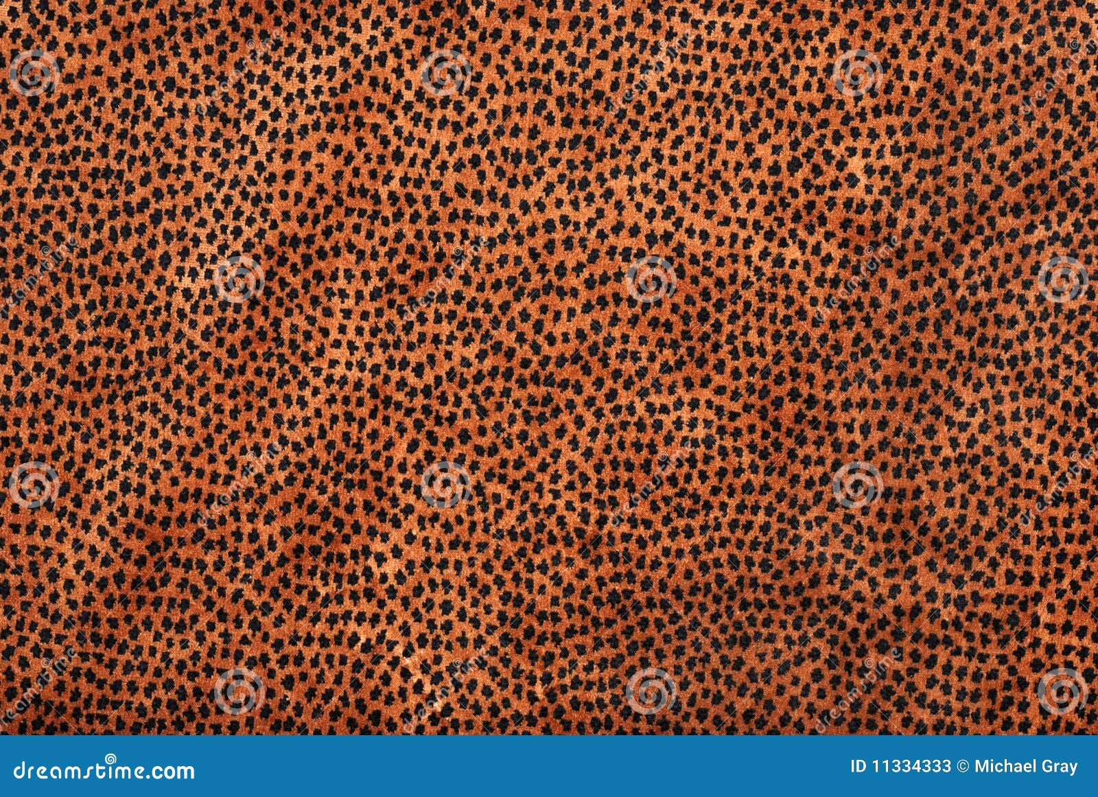 Animal print fabric stock image. Image of exotic, animal - 11334333