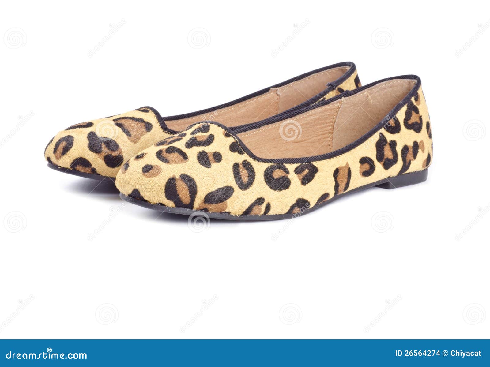 Animal Print Shoes Series 3 Picture. Image 26564274