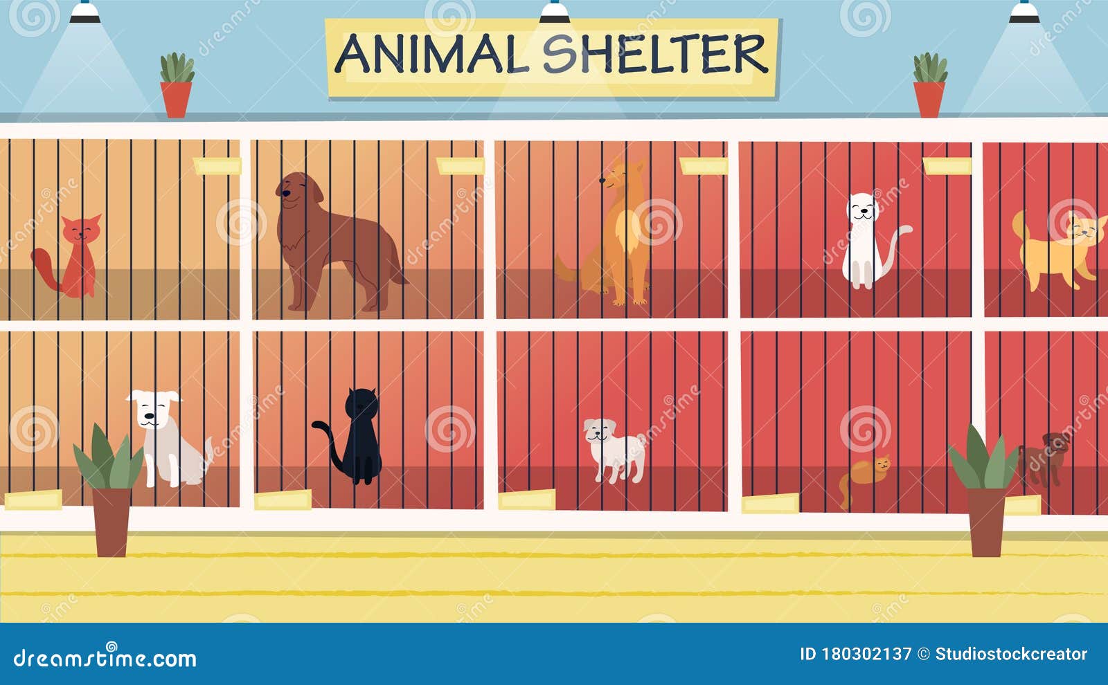 Энимал шелтер. Animal Shelter картинки. Animal Shelter задания. Shelter cartoon. Animal shelter natural choice