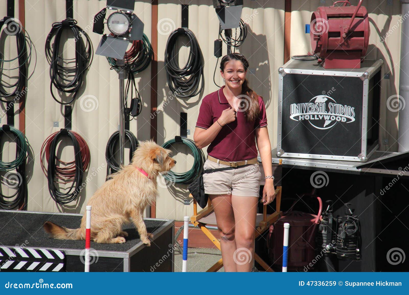 Animal Show at Universal Studios Hollywood Editorial Stock Image - Image of  california, character: 47336259