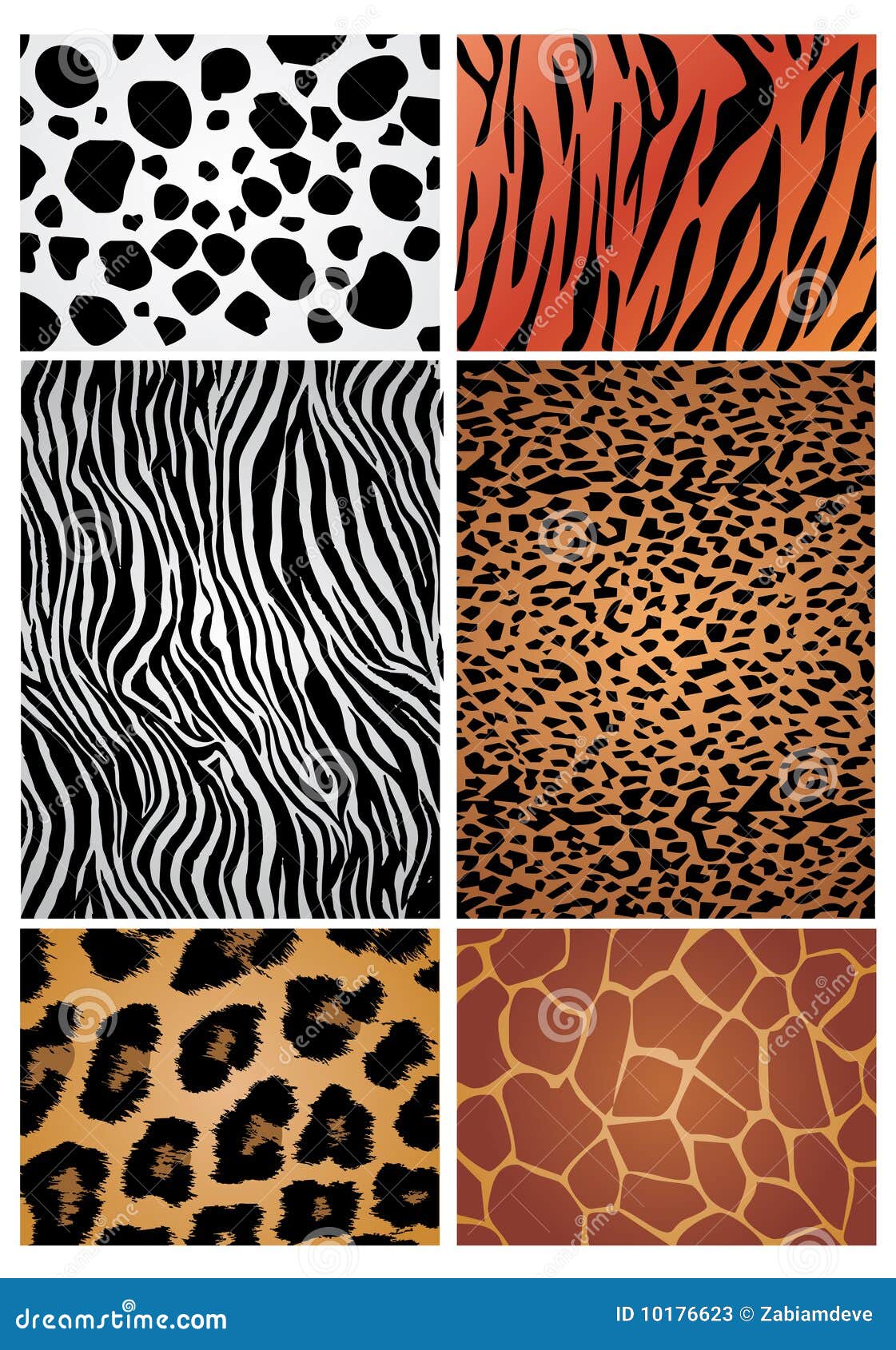 Download Animal skin stock vector. Illustration of wildlife, skin - 10176623