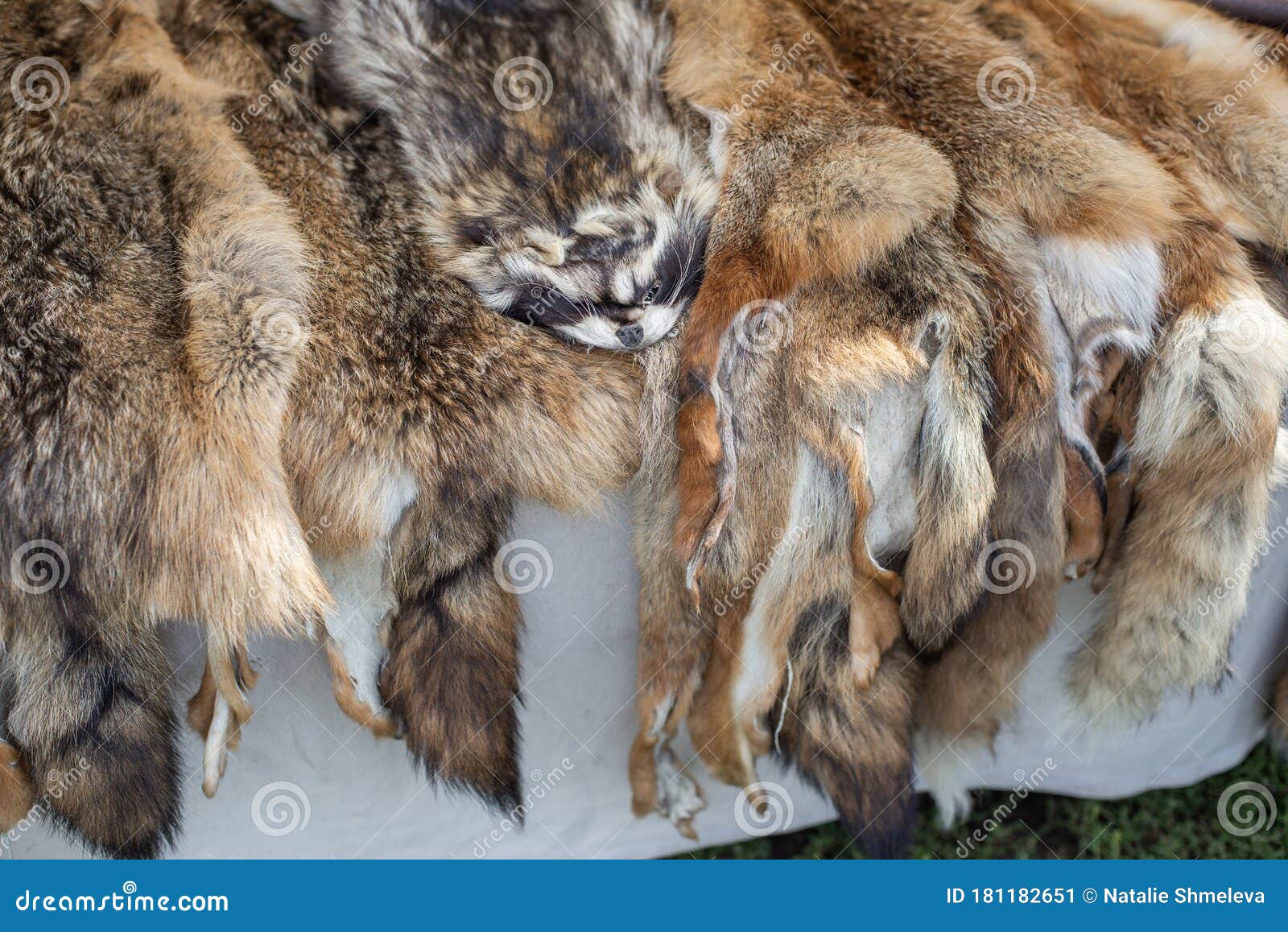 Animal skin fur stock image. Image of soft, animal, wild - 181182651