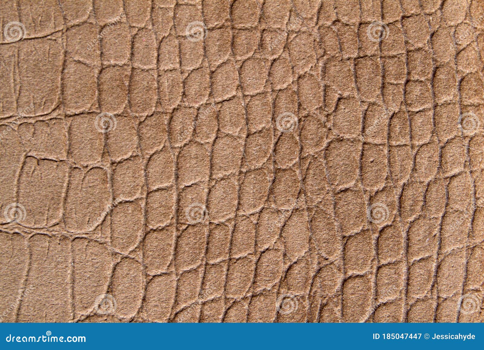 Animal Skin Texture Close Up Stock Image - Image of leather, protection:  185047447