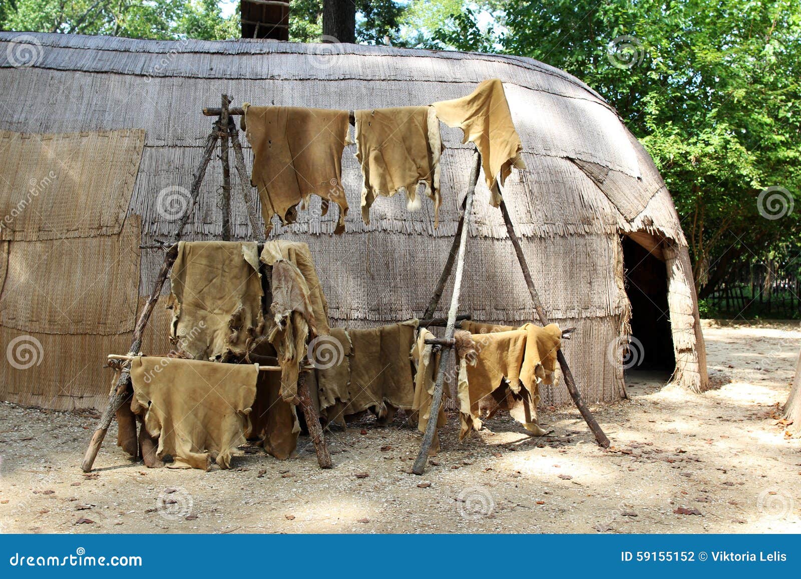 Animal Skins Drying at a Native American House Stock Photo - Image of hides,  replicas: 59155152