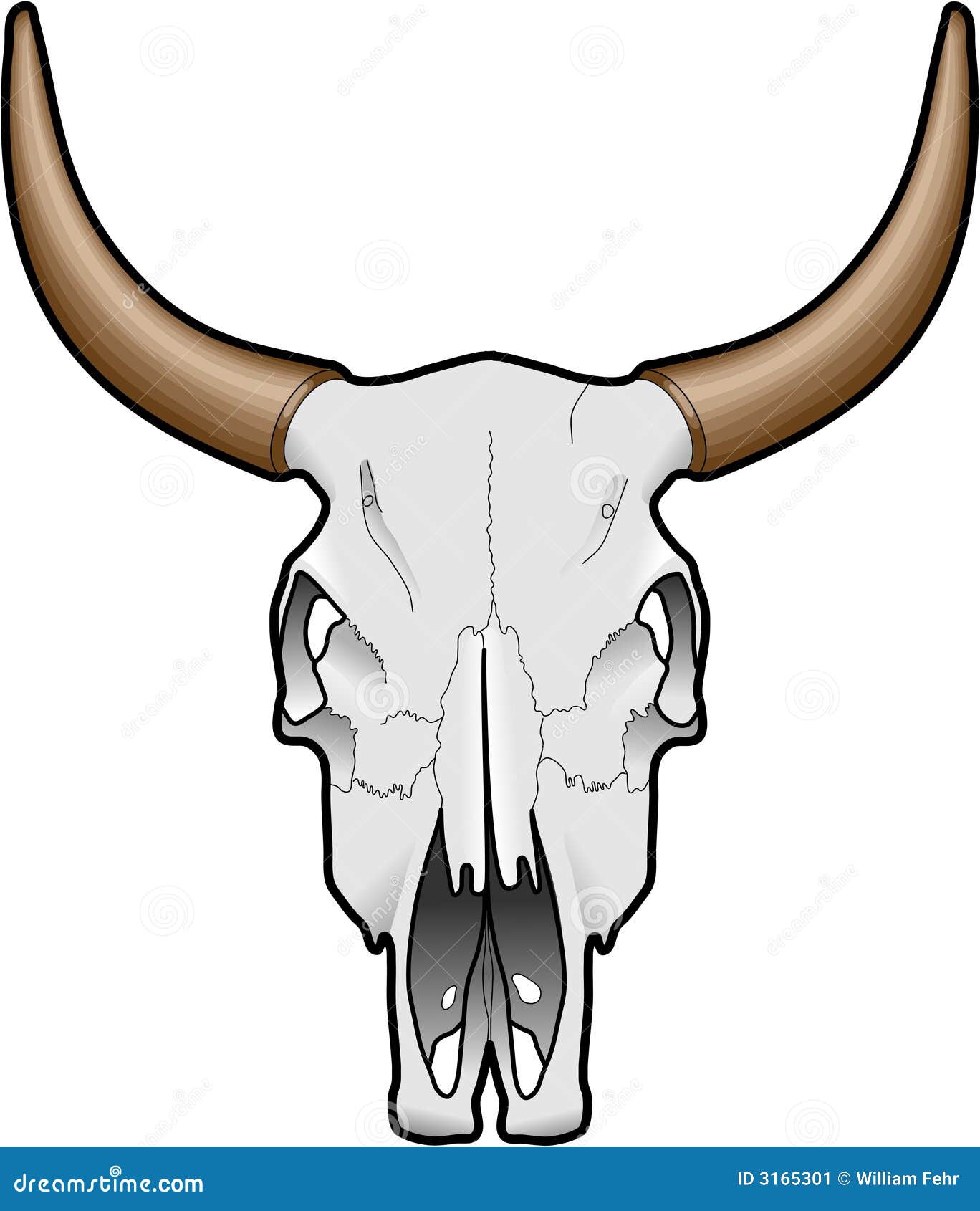 clip art cow skull - photo #39