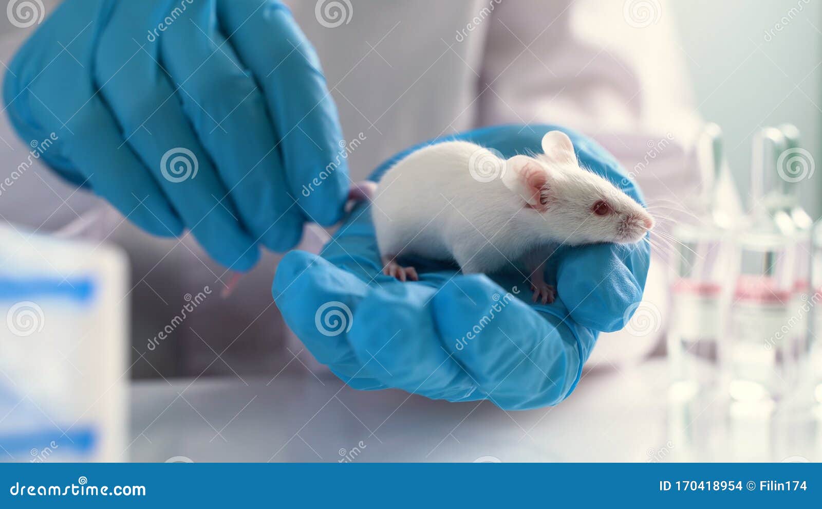 subcutaneous injection in mice
